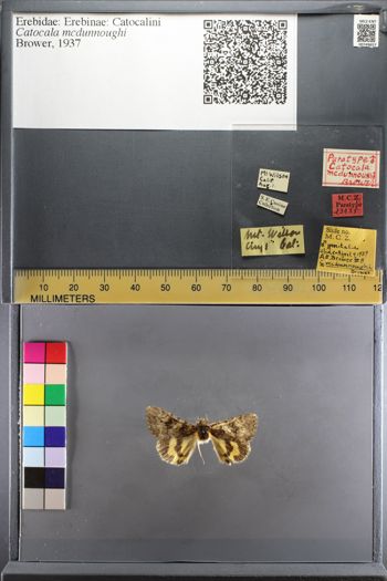 Media type: image;   Entomology 749657